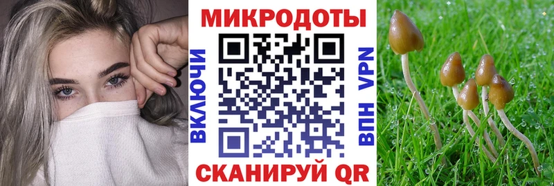 Псилоцибиновые грибы прущие грибы Купить Тобольск