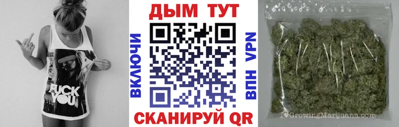 Купить где Тобольск Бошки Шишки SATIVA & INDICA